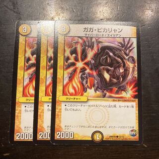 ガガ・ピカリャン C 12/13