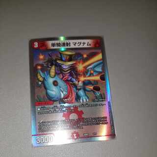 Single shot magnum 2/17