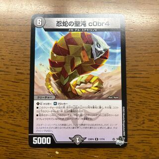 忍蛇の聖沌 c0br4 R 17/74