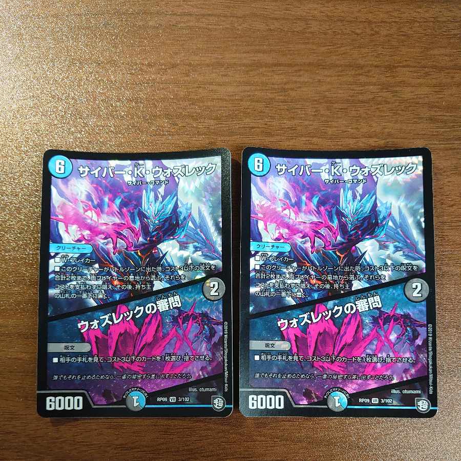 Cyber K. Wozrek|The Wozrek Inquiry VR 3/102