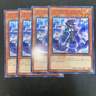 Backup Secretary Normal JP002