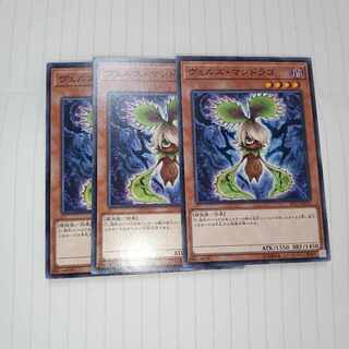 ヴェルズ・マンドラゴ ノーマル JP011