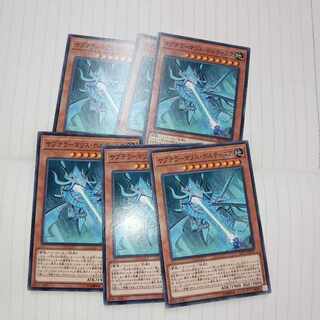 サブテラーマリス・ボルティニア ノーマル JP011