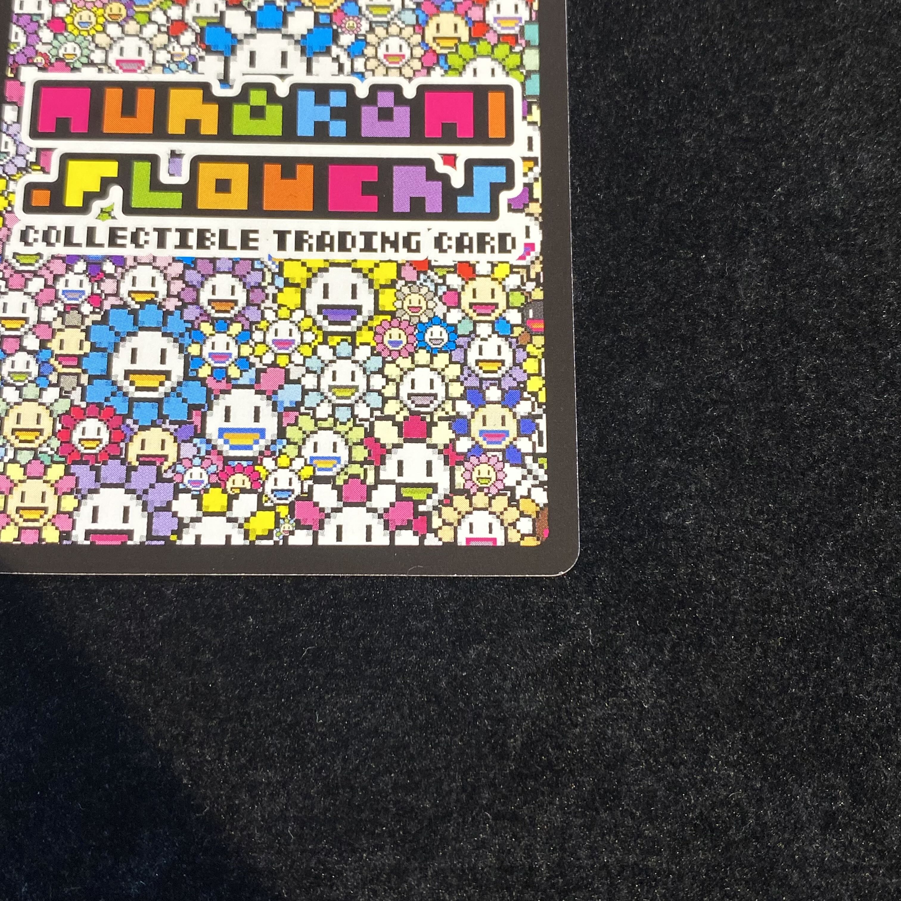 朝ぼらけちゃん ASA_BORAKE−chang SA ［SP−114］【英語版】 （108フラワーズ）