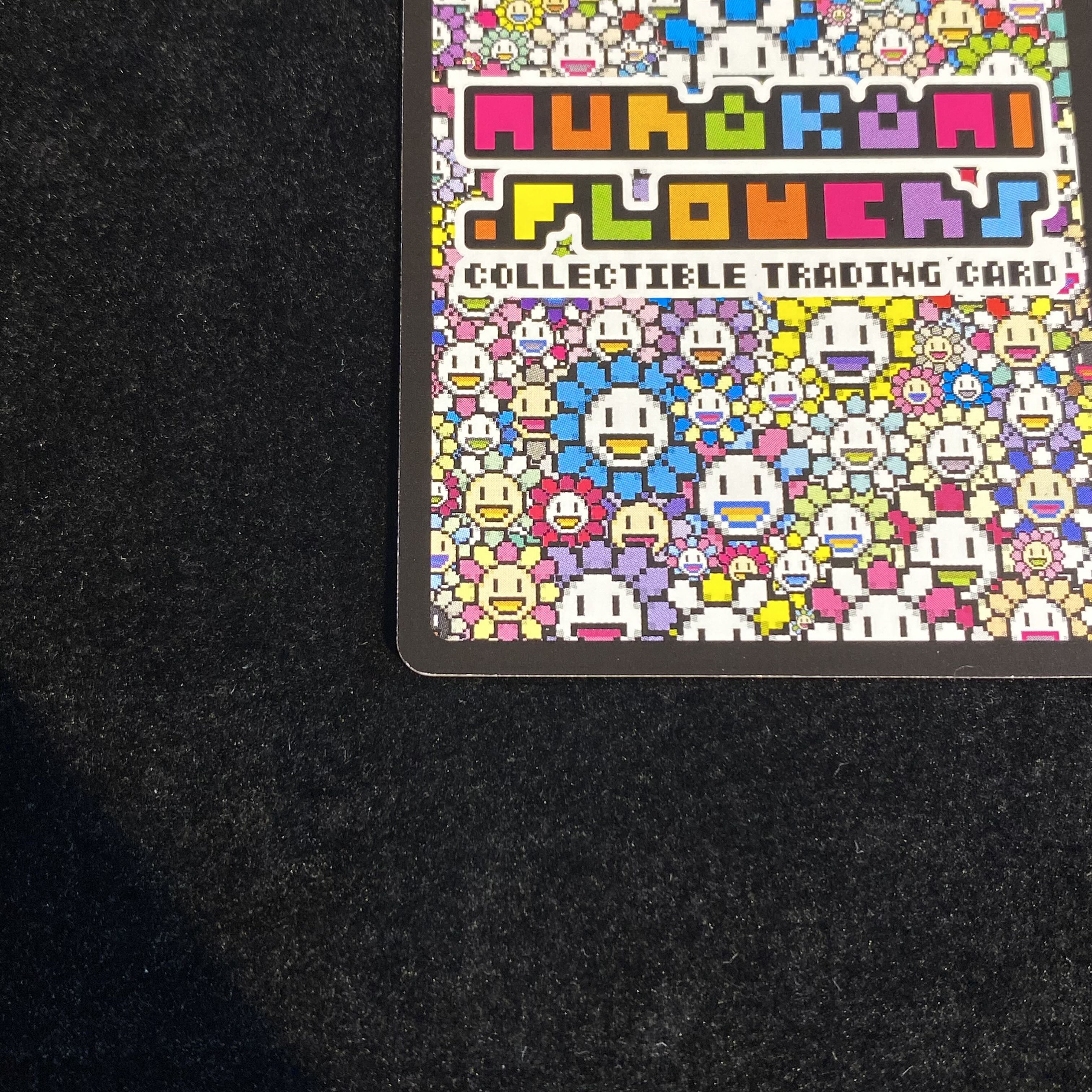 朝ぼらけちゃん ASA_BORAKE−chang SA ［SP−114］【英語版】 （108フラワーズ）