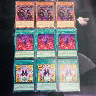 ヌメロン　セット売り　B-00004