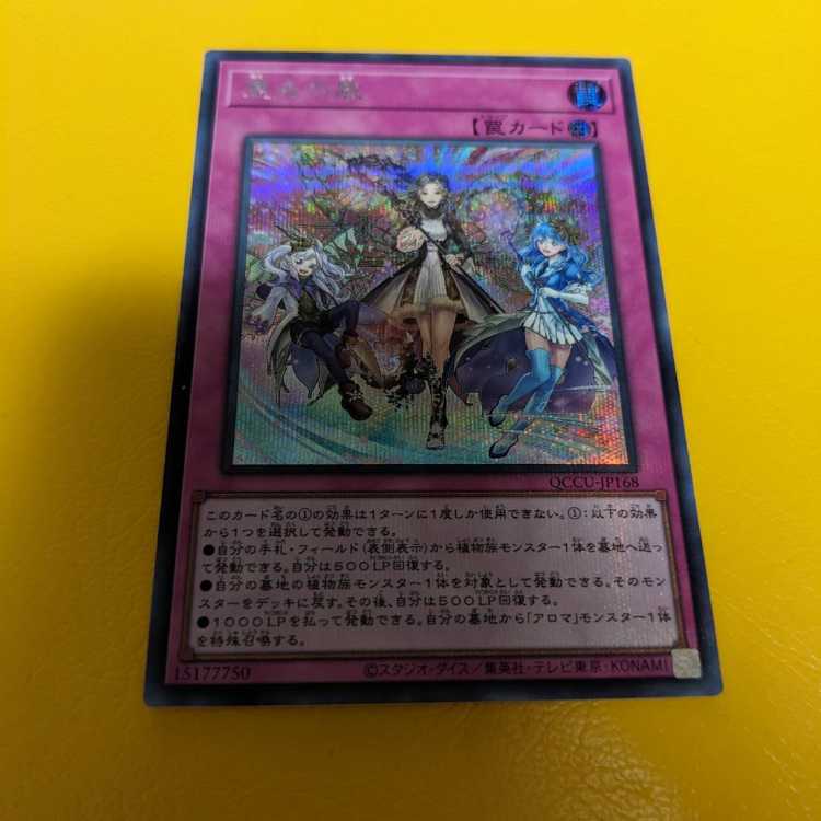Blessed Winds Secret Rare QCCU-JP168