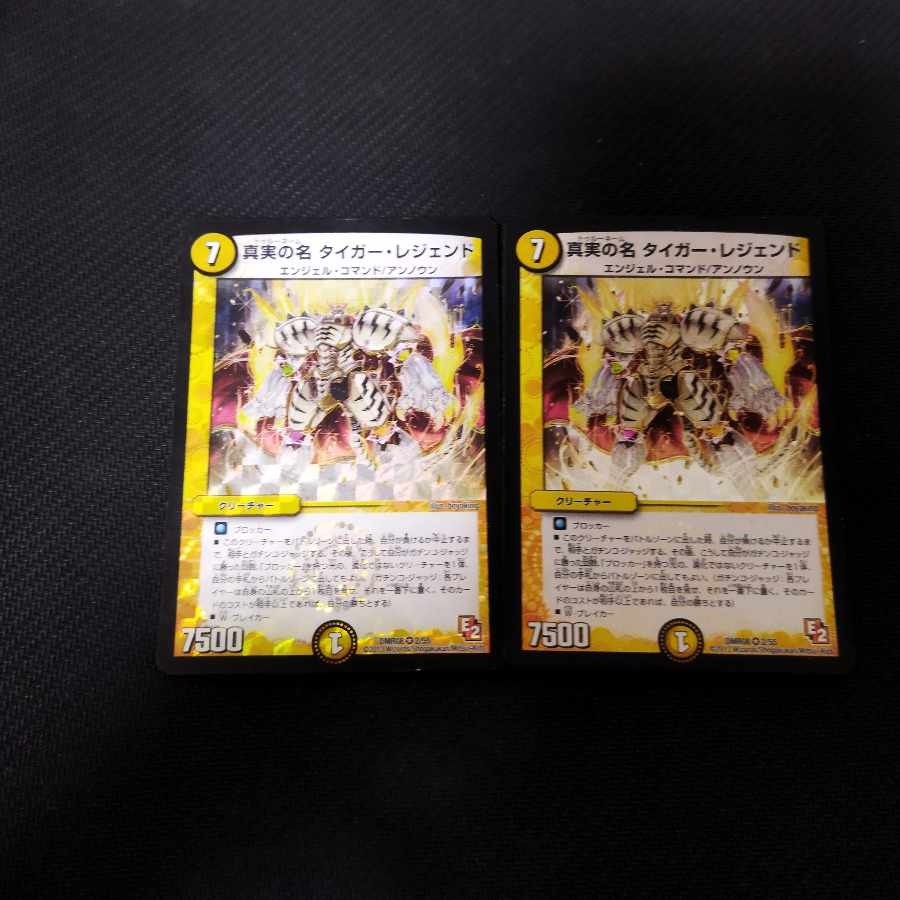 The True Name Tiger Legend VR 2 copies