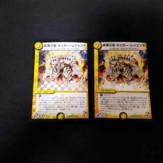 The True Name Tiger Legend VR 2 copies