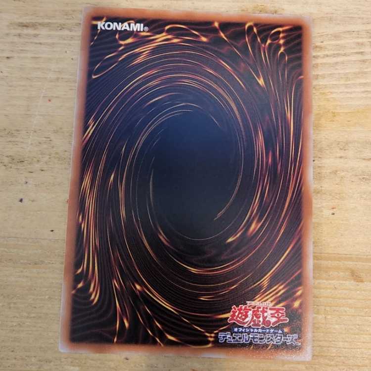 Borreload Savage Dragon QSE JP034 Management 03