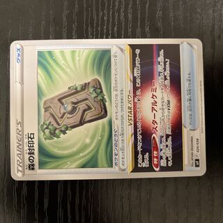 24h以内発送　森の封印石