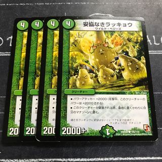 妥協なきラッキョウ