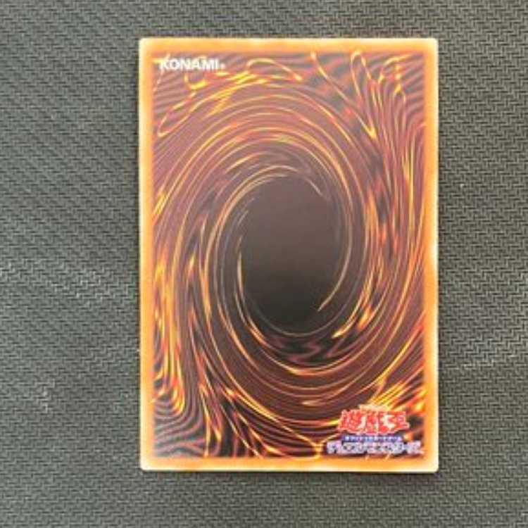 Favourite Contact QCSE QCCU-JP024 Management 01