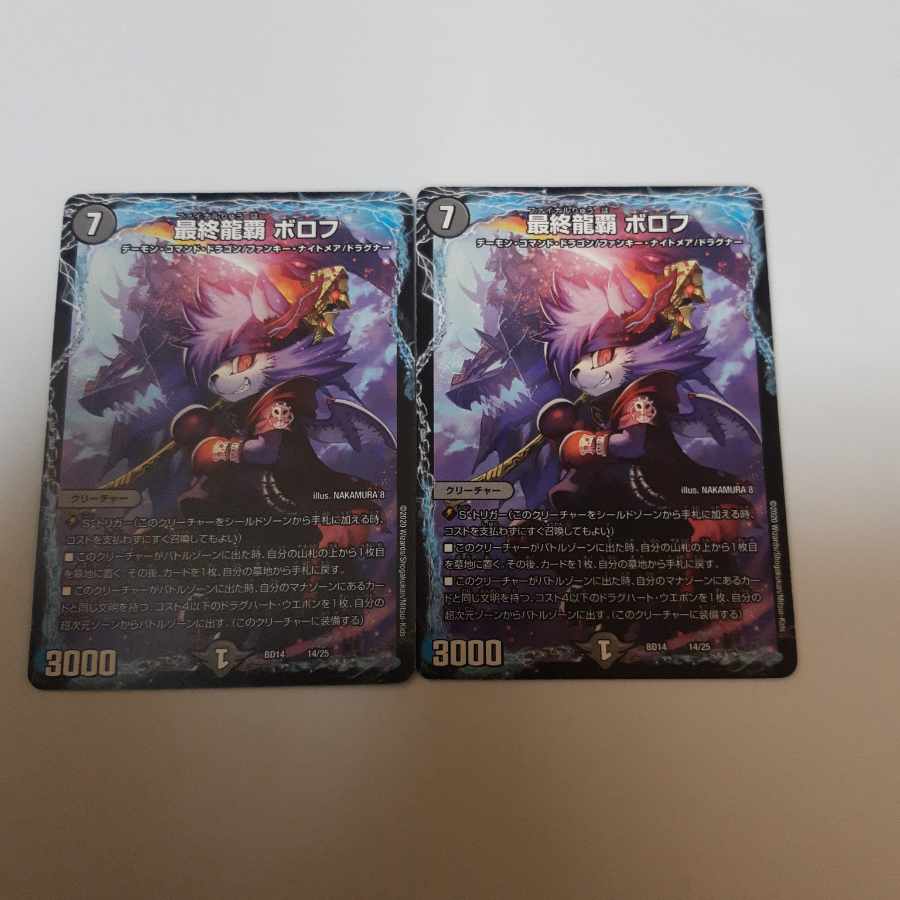 Final Dragon Heights Borov 14/25