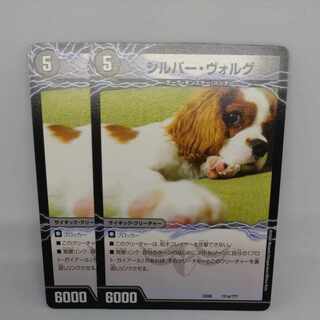 Silver Volg｜Take Down King Gaear Killer Dragon (lower) 111a/???? ｜111b/?????????