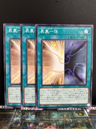 Yu-Gi-Oh Studio 9433 Front and Back Normal 23PP-JP005