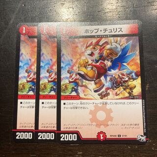 Hop Chu Squirrel C 57/61