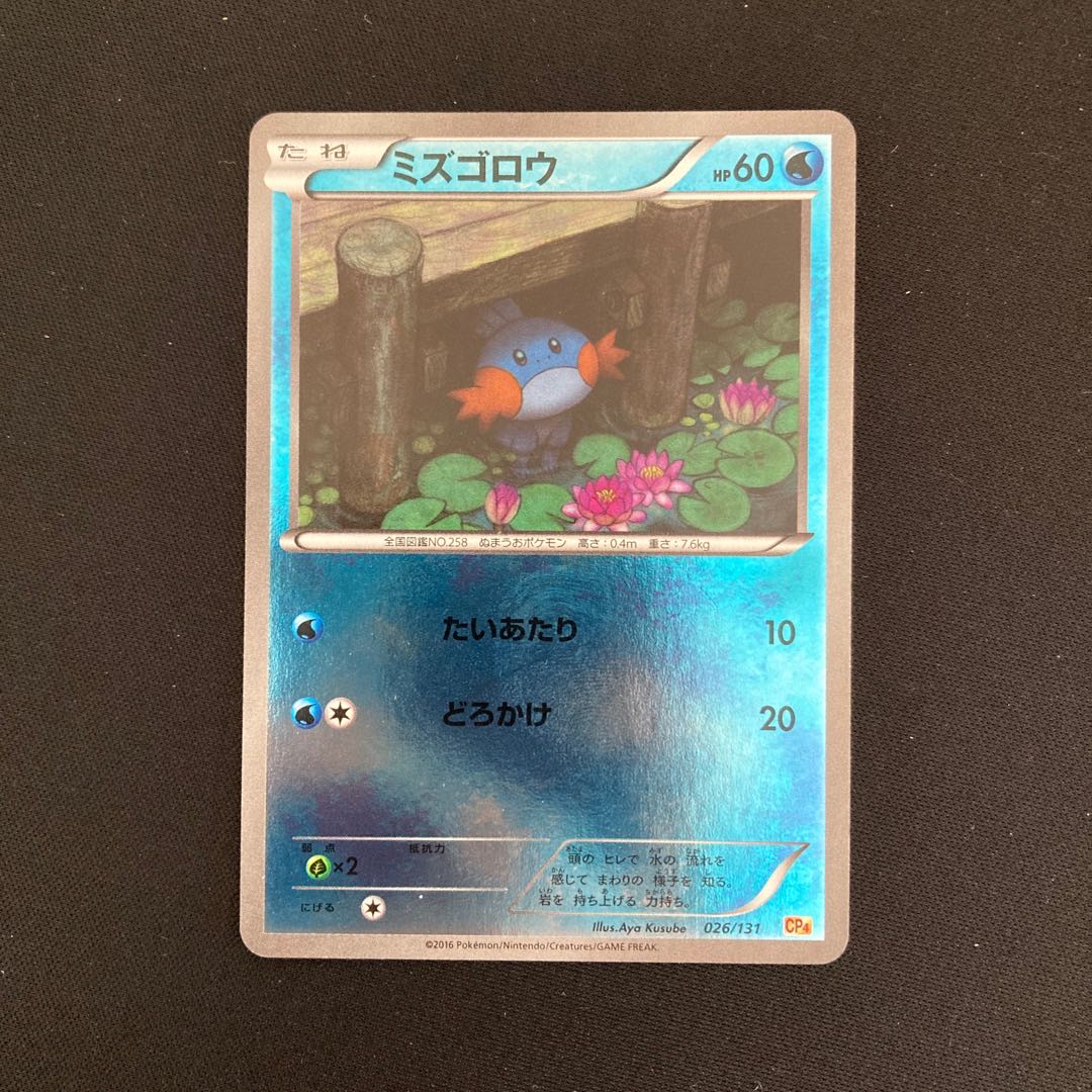 a344 Mudkip CP4 Premium Champion Pack Pokémon Treasure