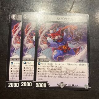 シバカゲ斎 U 26/48