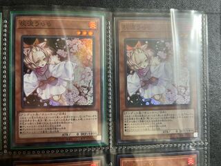 Ash Blossom & Joyous Spring 2-piece set