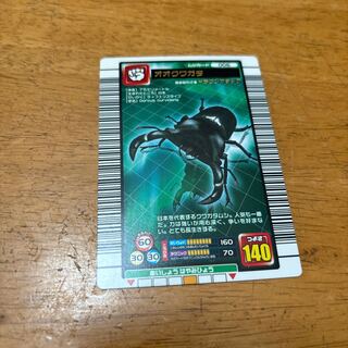 ムシキング　オオクワガタ