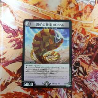 忍蛇の聖沌 c0br4 R 17/74