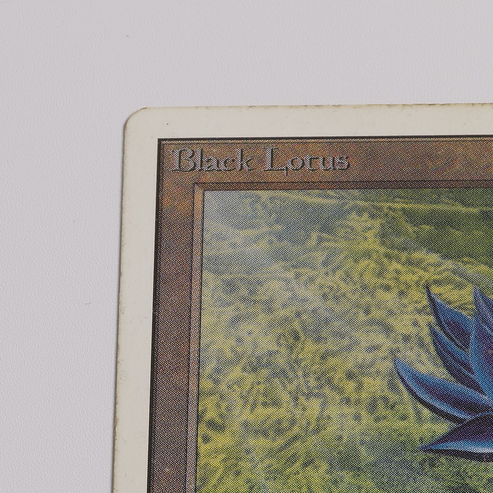MTG power9 power9 Black Lotus English 1 copy