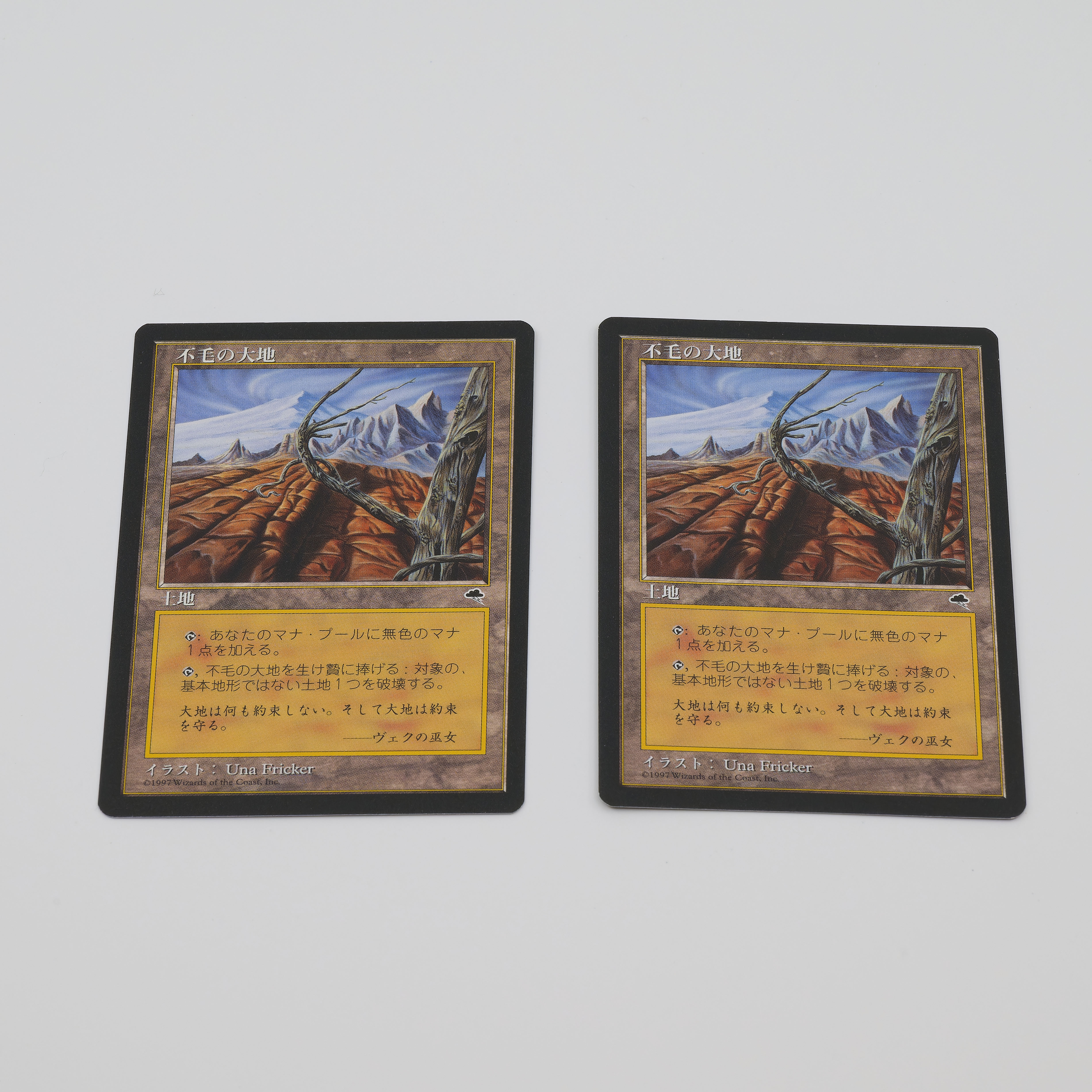 MTG TMP Tempest Wasteland/Wasteland Japanese 2 copies