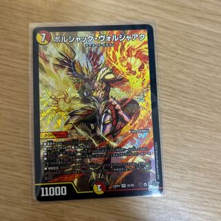 Bolshak Voljaak SR S5/S8