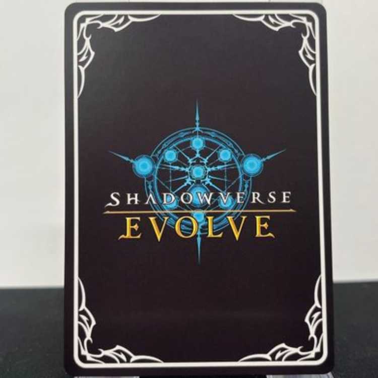 Dark Dragoon Forte UR BP01-U04 Management02