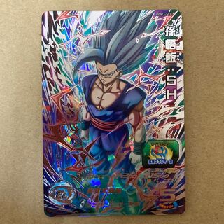 孫悟飯:SH ugm3-sec