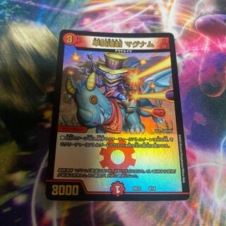 Single shot magnum 9/18