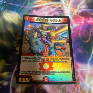 Single shot magnum 9/18