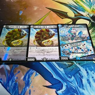 忍蛇の聖沌 c0br4 R 17/74