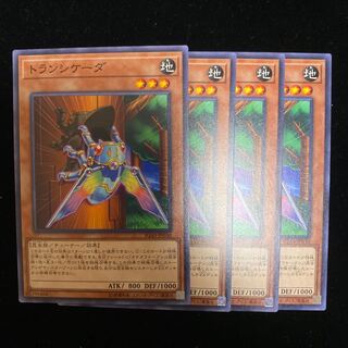 トランシケーダ N