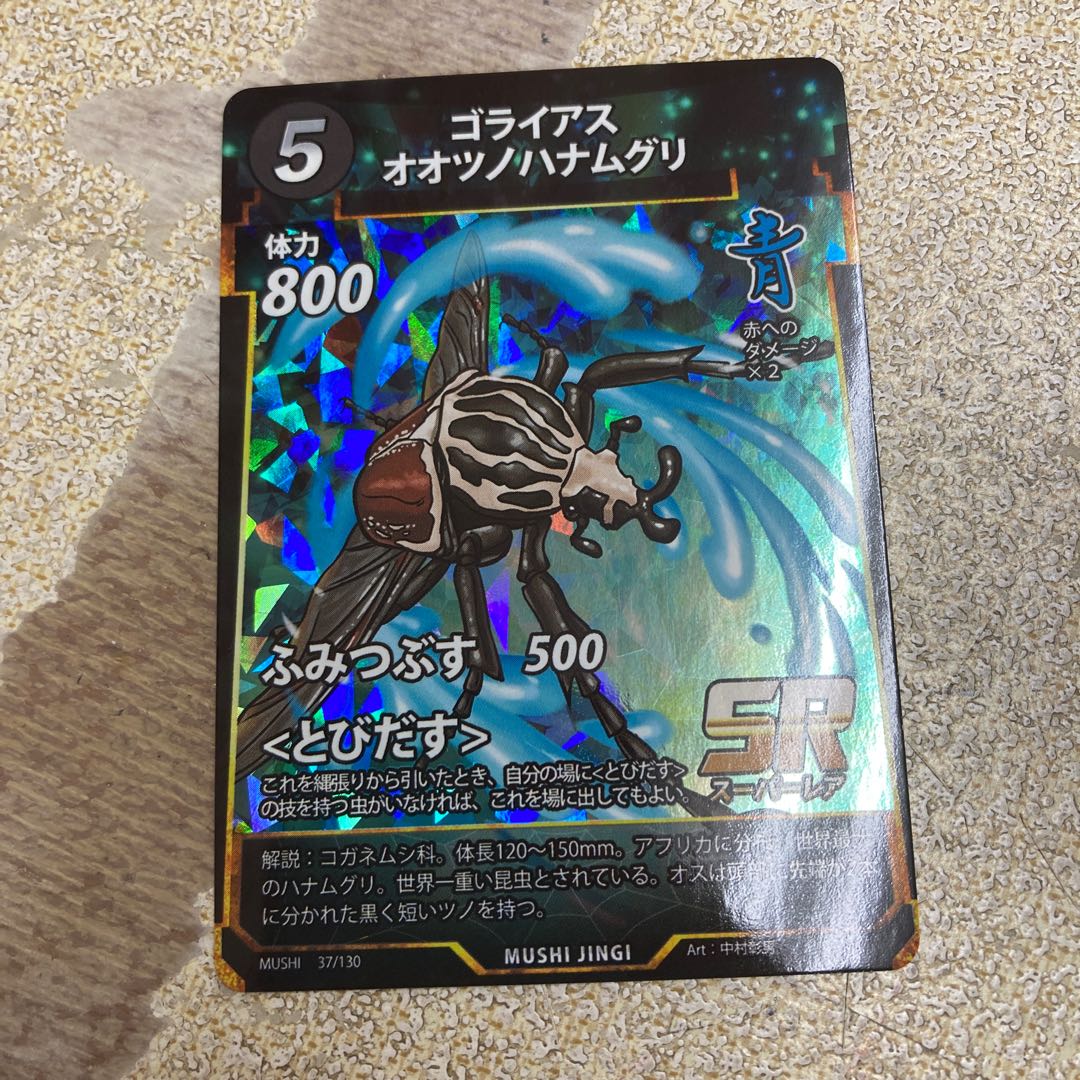 ゴライアスオオツノハナムグリ