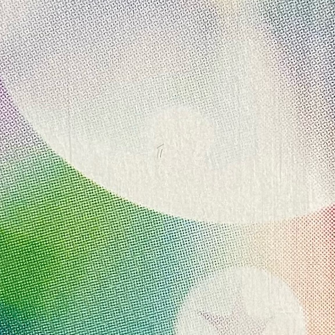 PSA10] Lillie PROMO 080/SM-P