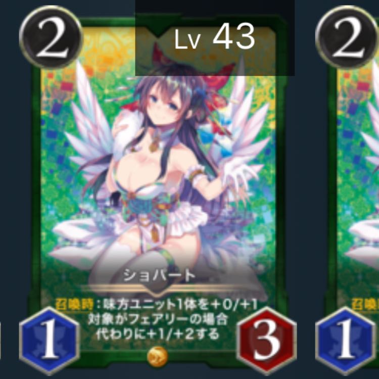 【2枚】ショパート