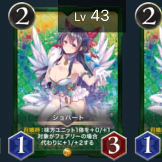 【2枚】ショパート