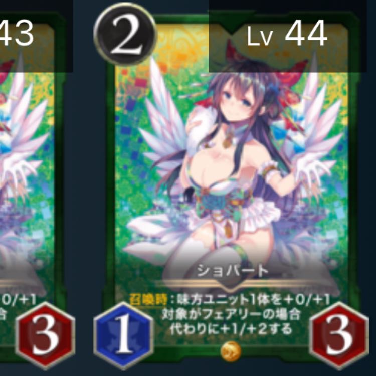 【2枚】ショパート