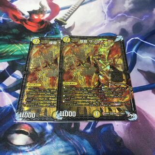 煌龍 サッヴァーク SE1 2枚セット