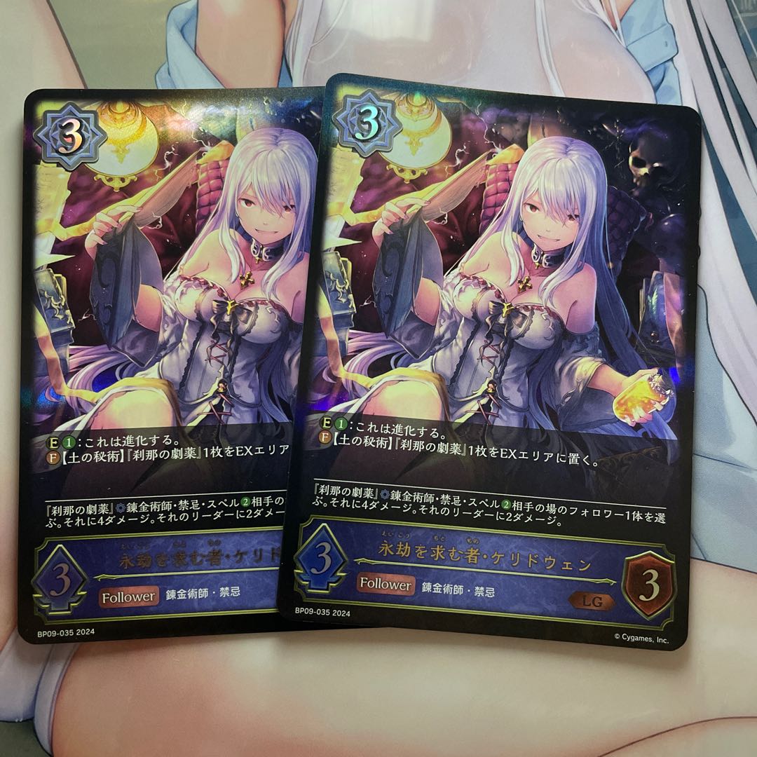 永劫を求む者・ケリドウェン LG 2枚