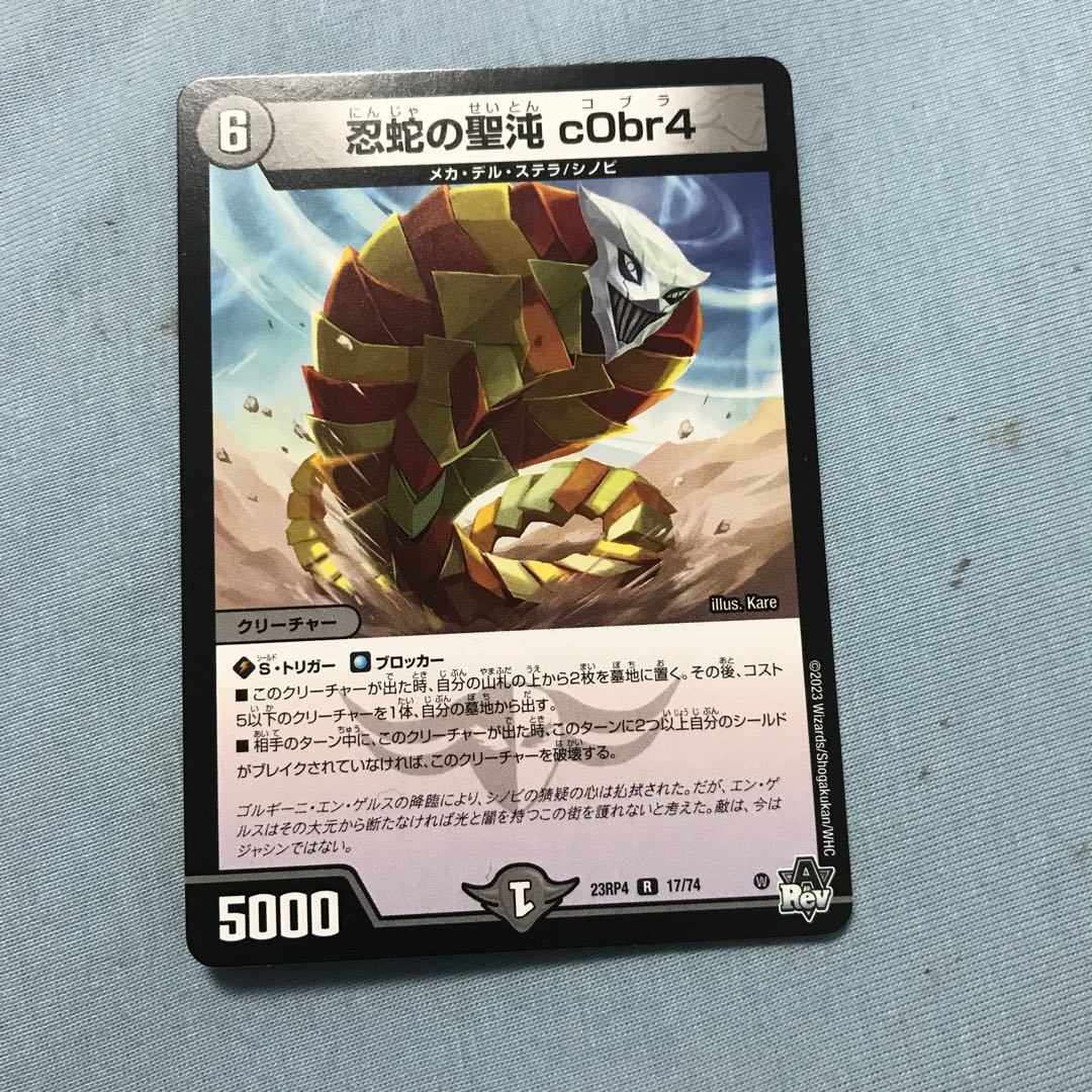 The Holy Chaos of the Ninja Serpent c0br4 R 17/74