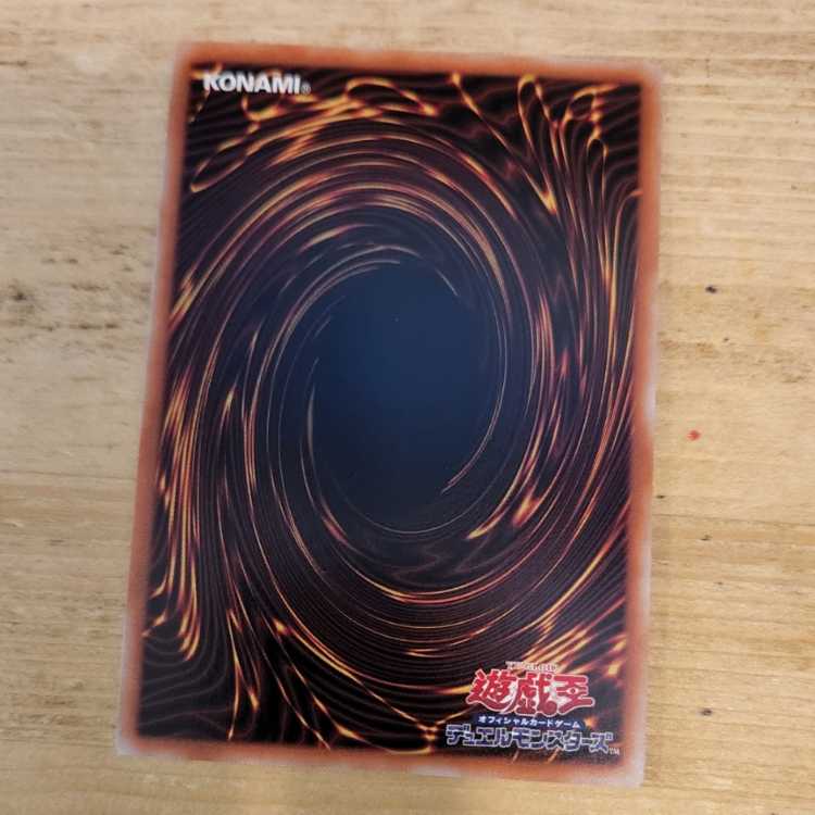 獣王アルファ QSE JP023　管理03