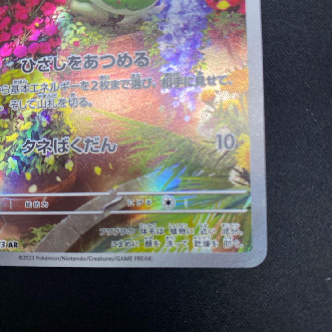 ニャオハ AR 075/073