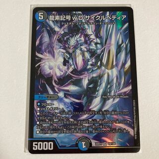 龍素記号wD サイクルペディア SR 14/84