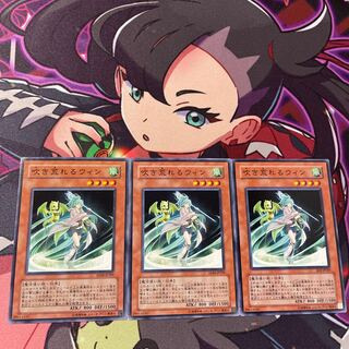 Storming Wynn Normal JP209