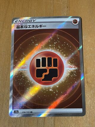 基本闘エネルギー SR 256/172
