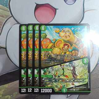 Colencoco Tank｜Bont Plantivo R 29/60