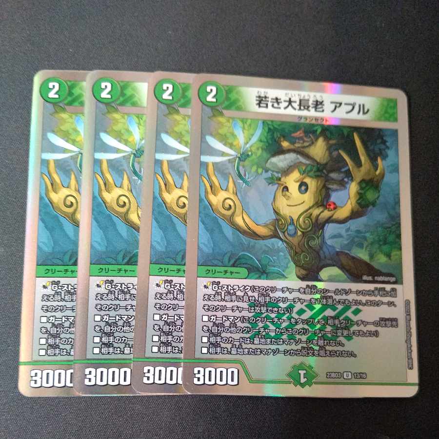 若き大長老 アプル